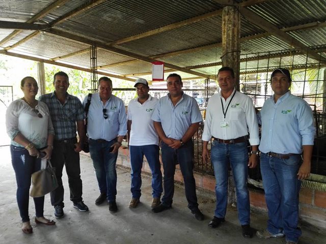 El ICA actualizó a productores ovino caprinos del Caquetá
