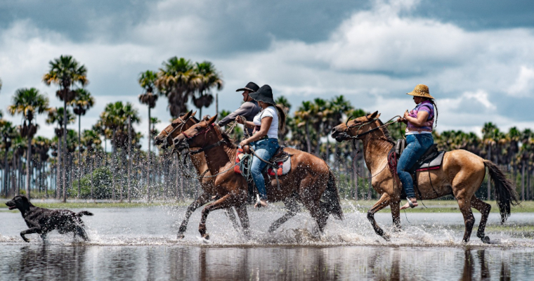 Personas montando a caballo