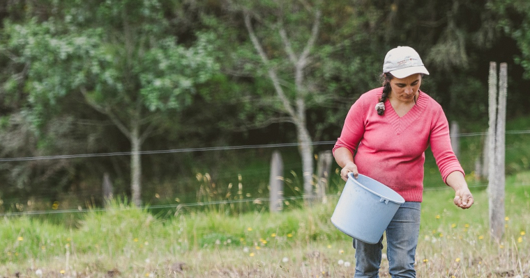 MinAgricultura lanza salvavidas a productores afectados por fenómenos climáticos o caídas en sus ingresos para acceder a subsidi