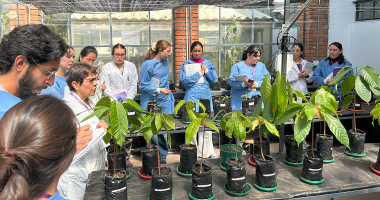 Microbios del suelo, aliados para que la agricultura resista el cambio climático