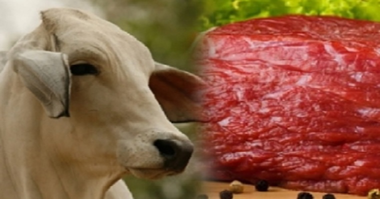 China importaría 1,8 millones de toneladas adicionales de carne de res en  2019