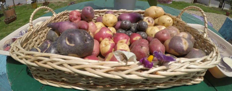 Tradición, sabores y saberes